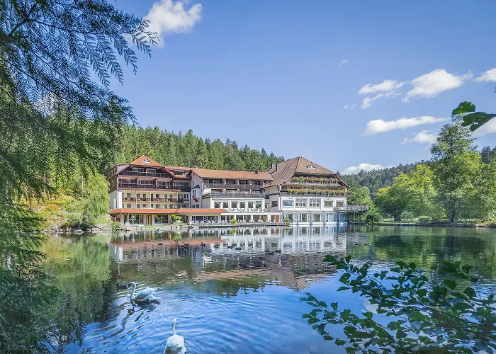 Hotel Langenwaldsee Freudenstadt